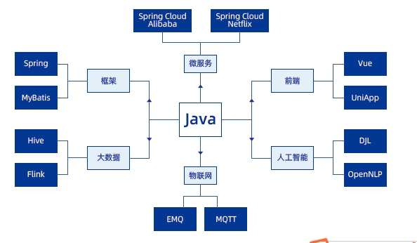 Java编程语言寿命更长